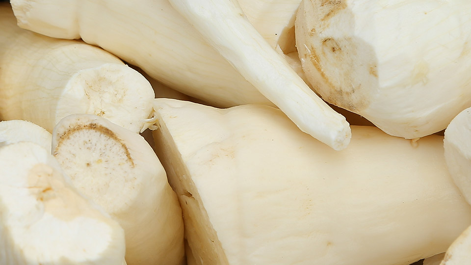 manioc lutte travail des enfants autonomisation des femmes