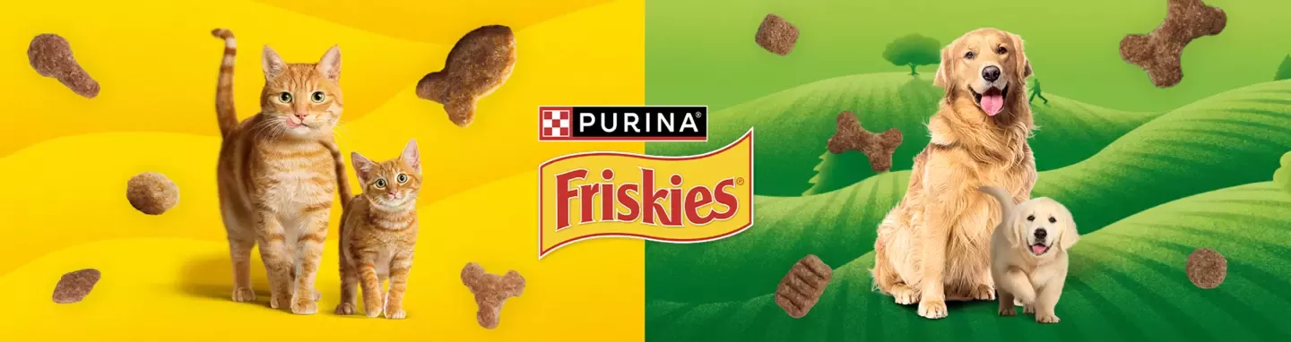 Chat et chien Friskies