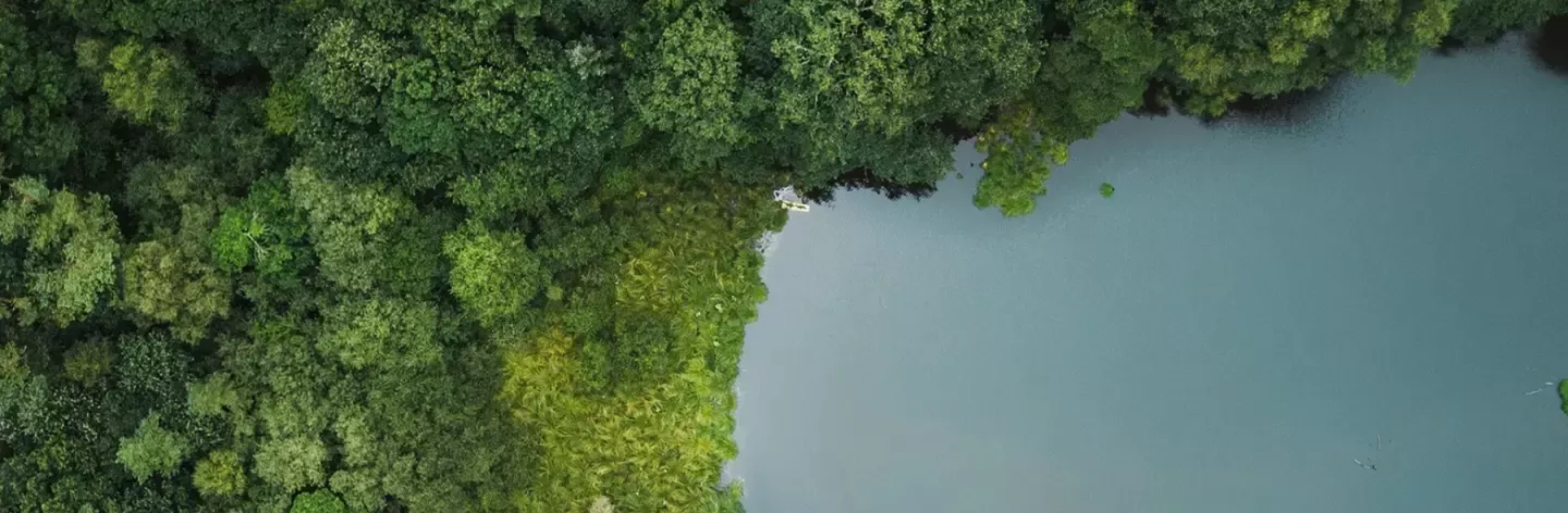 Forêt vue de haut avec logo Nestlé et Ecotree