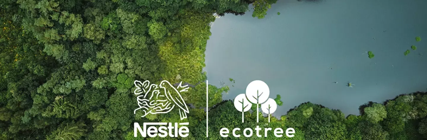 Forêt vue de haut avec logo Nestlé et Ecotree