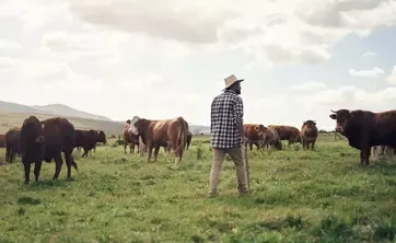 Agriculteur travaillant