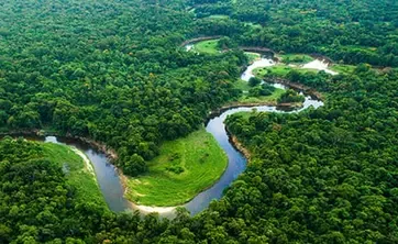Rivière sinueuse de plaine traversant la forêt