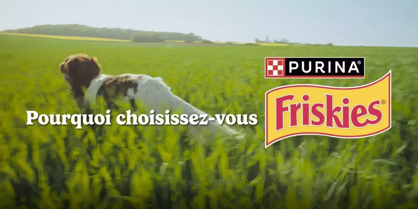 FRISKIES® > Component > Second column