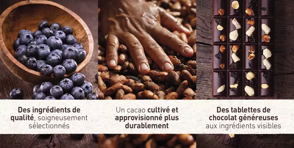 2 - bannière cacao cultivé et approvisionné plus durablement