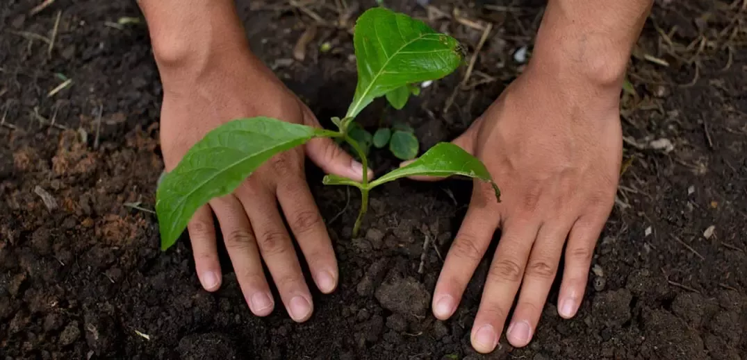 Nestlé présente ses ambitions pour soutenir la transition vers des systèmes alimentaires régénérateurs.