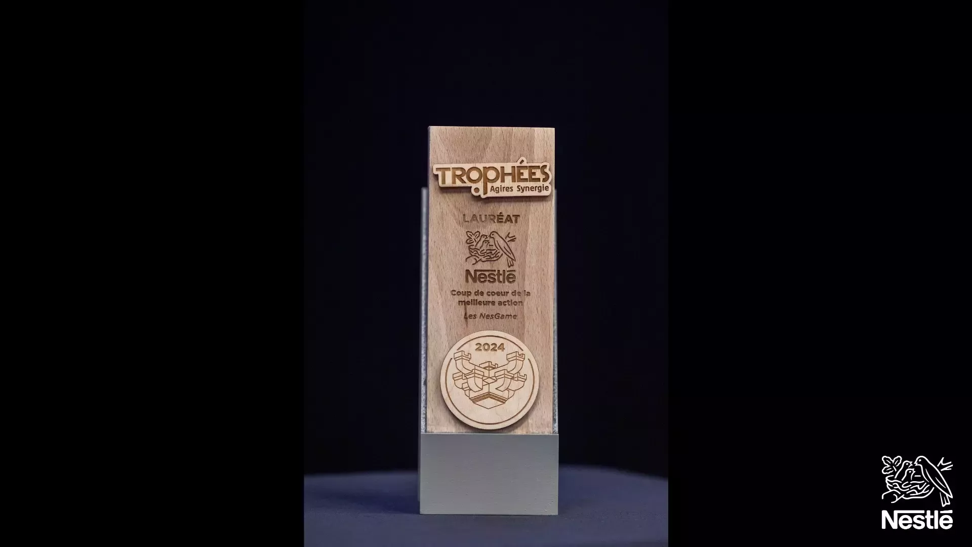 Trophée Nesgame
