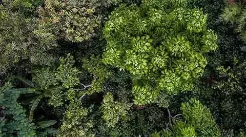 paysage de nature sauvage