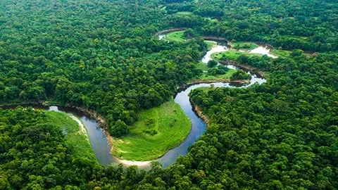Paysage
