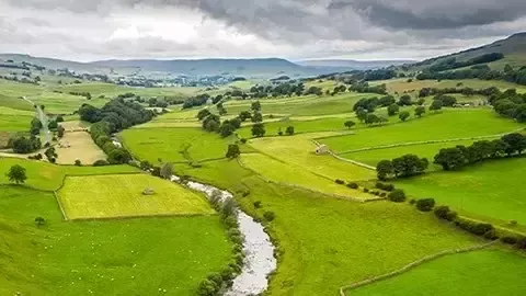 Paysage verdoyant traversé par rivière