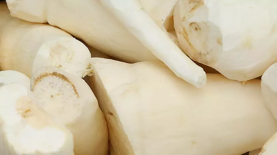 manioc lutte travail des enfants autonomisation des femmes