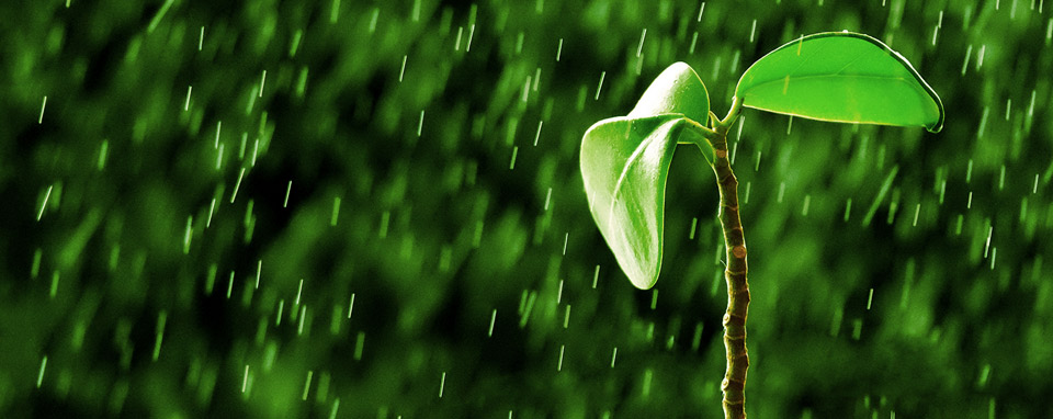 cultivateur vietnam economie eau utilisation dechets